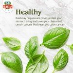 Basso 1904 Basil Infused Olive Oil 8.5 Fl Oz