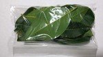 Fresh Bay Leaves for Flavorful Cooking - 2 oz