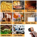 Digital Infrared Thermometer for Perfect Pizza Cooking