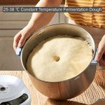Joydeem Electric Dough Maker with Ferment Feature