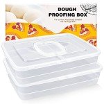 Pizza Dough Trays - Set of 2, BPA Free
