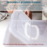 Pizza Dough Trays - Set of 2, BPA Free