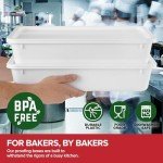 Pizza Dough Proofing Container with Lid (1 Pack)