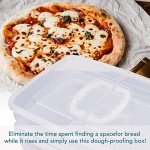 Pizza Dough Trays - Set of 2, BPA Free