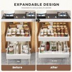Expandable Pull-Out Organizer for Kitchen Cabinets