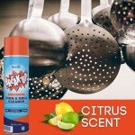 Heavy Duty Oven & Grill Cleaner Spray, 19 oz