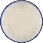 Treasure Cave Crumbled Blue Cheese - 5 oz