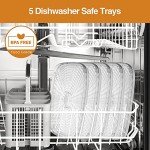 OSTBA Electric Food Dehydrator with 5 BPA-Free Trays