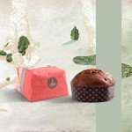 Fiasconaro Panettone Traditional Italian Christmas Cake, 35.27 - The Best Tasting Authentic Italian Panettone in Amazon