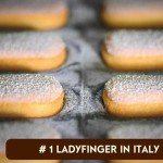 Matilde Vicenzi Vicenzovo Ladyfingers 14.10oz - Classic Italian Biscuits, Ladyfingers Cookies for Tiramisu, Kosher Dairy Cookies, Italian Bakery Dessert Gifts For Special Occasions 7.05 oz (200g), 2Pk