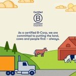 Tillamook Shredded Mozzarella Cheese, 8 oz