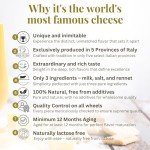 20 lb Parmigiano Reggiano Cheese Block - Imported