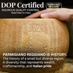 20 lb Parmigiano Reggiano Cheese Block - Imported
