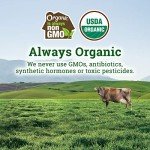 Organic Valley Whole Milk Ricotta Cheese