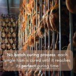 Monte Nevado Jamon Iberico Ham with Stand & Knife