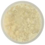 Organic Gorgonzola Cheese Crumbles by 365, 4 oz