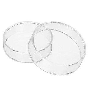 PATIKIL 60mm Borosilicate Glass Petri Dishes Set