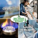 190-Proof Denatured Alcohol 32oz (Pack of 4)