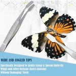 A2Z 4 Entomology Forceps & Precision Tweezers