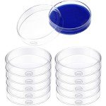 10-Pack Glass Petri Dishes with Lids - 90mm