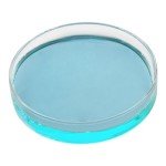 EISCO Borosilicate Glass Petri Dish, 100mm