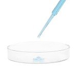 EISCO Borosilicate Glass Petri Dish, 100mm