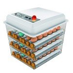 Digital Automatic Egg Incubator for 150-180 Eggs