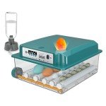 Automatic Egg Incubator for 12-16 Eggs