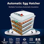 Digital Automatic Egg Incubator for 150-180 Eggs