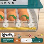 Automatic Egg Incubator for 12-16 Eggs