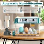 Automatic Egg Incubator for 12-16 Eggs
