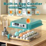 Automatic Egg Incubator for 12-16 Eggs