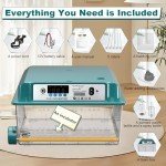 Automatic Egg Incubator for 12-16 Eggs
