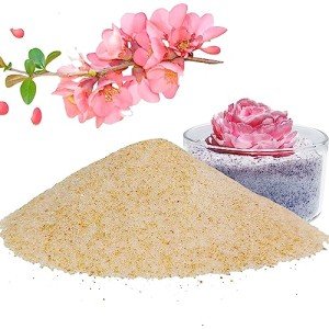 Orange Silica Gel for Flower Drying - 4 Pounds