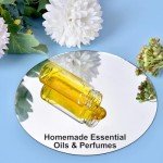 100 Glass Sample Vials with Black Screw Caps