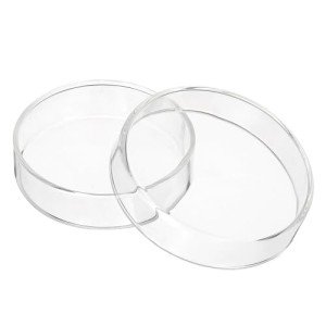 Borosilicate Glass Petri Dishes with Lids - 75mm