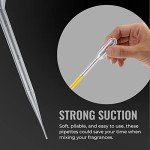 100 Pcs 3mL Disposable Plastic Transfer Pipettes