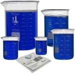 Karter Scientific Glass Beaker Set with Stir Bar