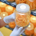 Membrane Filter Stickers for Mushroom Cultivation - 58mm