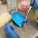 Ergonomic Angled Petri Dish Holder - 2 Pack