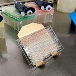 Ergonomic Angled Petri Dish Holder - 2 Pack