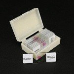 Human Pathology Microscope Slide Set - 12pcs