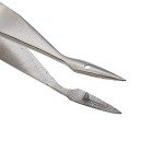 Walter-Carmalt Curved Splinter Forceps, 4.75