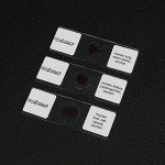 Human Pathology Microscope Slide Set - 12pcs