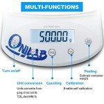 ONiLAB High Precision 2000g Electronic Analytical Balance