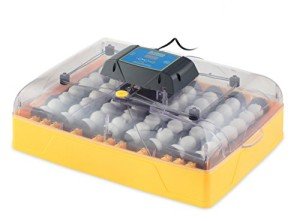 Brinsea Ovation 56 Eco Egg Incubator with Control