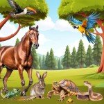 F10 SC Veterinary Disinfectant & Cleaner - 1 Liter