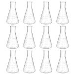 12-Pack 100ml Borosilicate Erlenmeyer Flasks