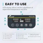 Mini Digital Dry Bath Incubator for Laboratories