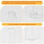 10ml Clear Glass Vials with Screw Caps - 12 PCS